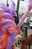 resIMG_20170402_131054_7259.JPG